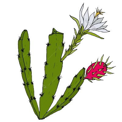 edible cactus fruit logo - image of cactus with flower and fruit